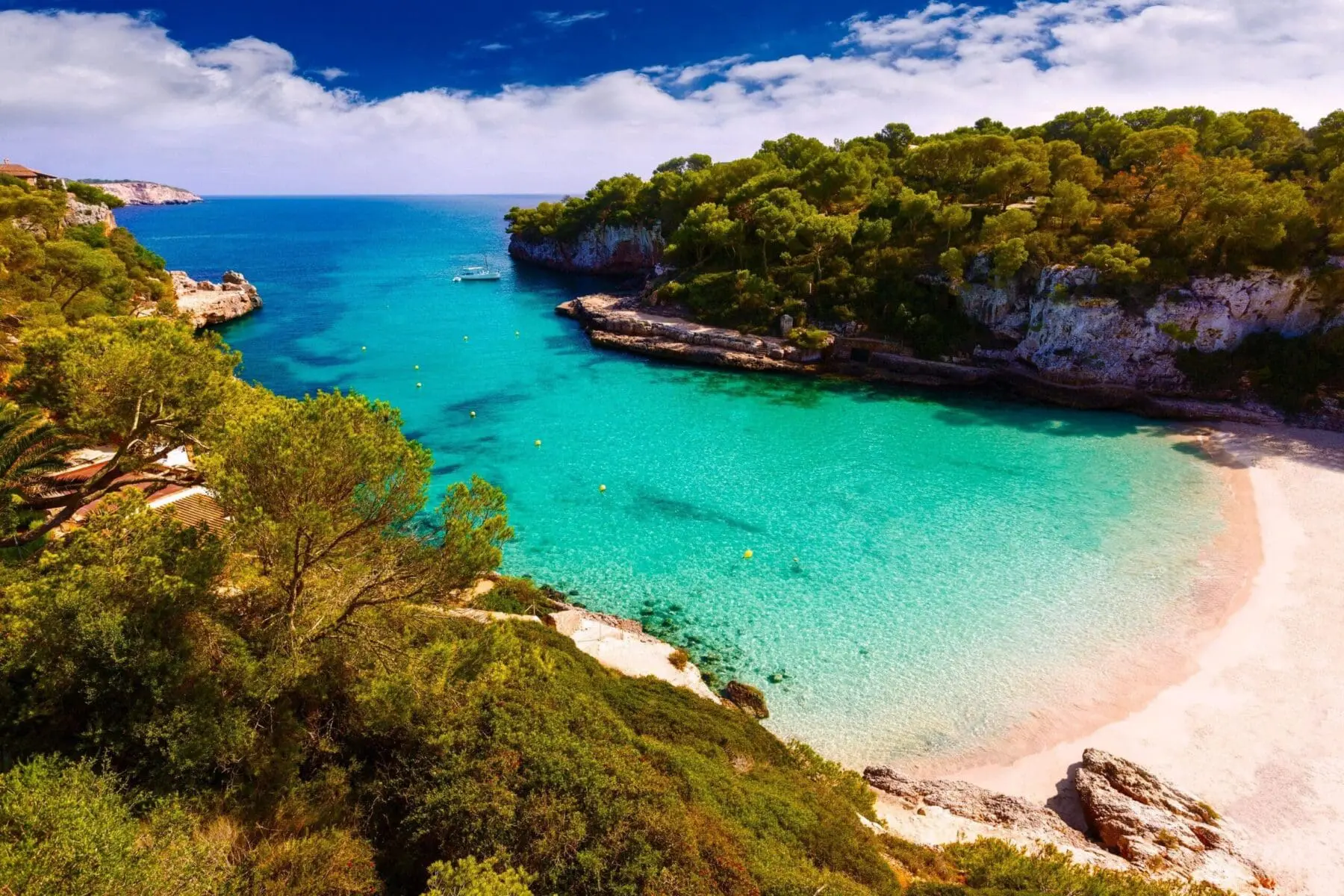 453397194 3138180369651098 2800143238750931741 n scaled