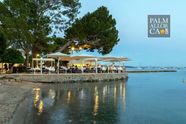 Hotel-Hoposa-Illa-dOr-in-Puerto-Pollensa-with-Palmallorca-Gallery.bak