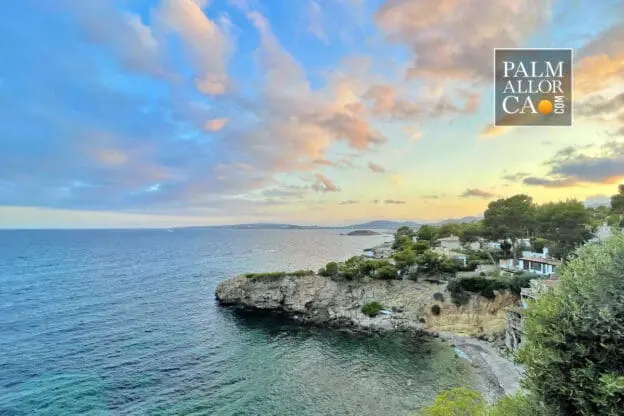 Azul Cars - Car Rentals in Mallorca with Palmallorca Gallery 5