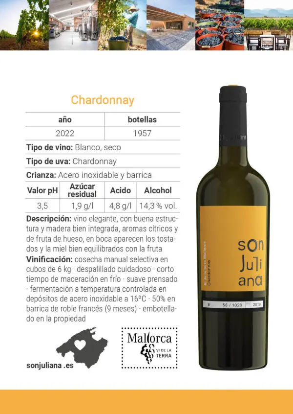Wine - White - Chardonnay - Son Juliana 0.75 2022 box of 6 - Image 4