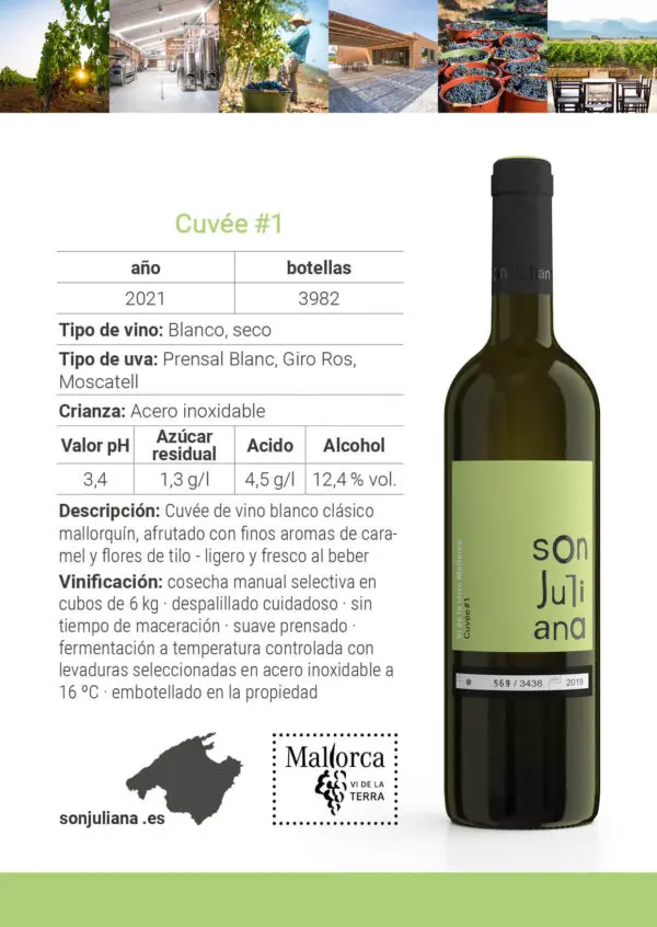 Wine - White - Blanco Seco - Son Juliana - Cuveé #1 2024 box of 6 - Image 4