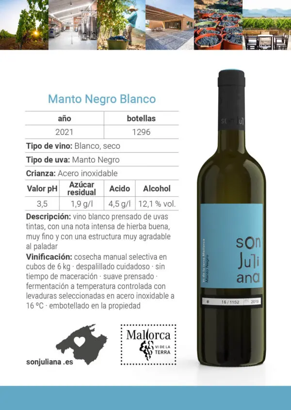 Wine - White - Blanco Seco - Son Juliana - Mantenegro 0,75 2021 box of 6 - Image 4