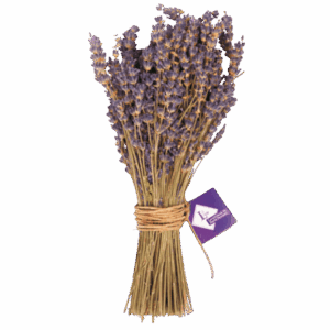 Bouquet Lavander from Provence, France
