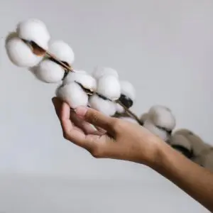 Dekoflower Cotton Branch – Exclusive Timeless 80 cm