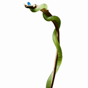 RÖTHELBACH – Towering Light Organism by Peter Wiechenthaler