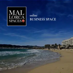 Online Business Space