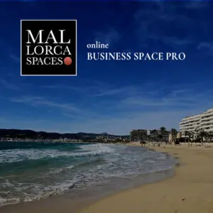 Online Business Space Pro Webshop