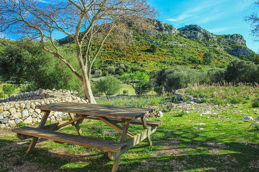 Natural parks in Mallorca - PENÌNSULA DE LA LLEVANT - Palmallorca.com - Mallorca Community
