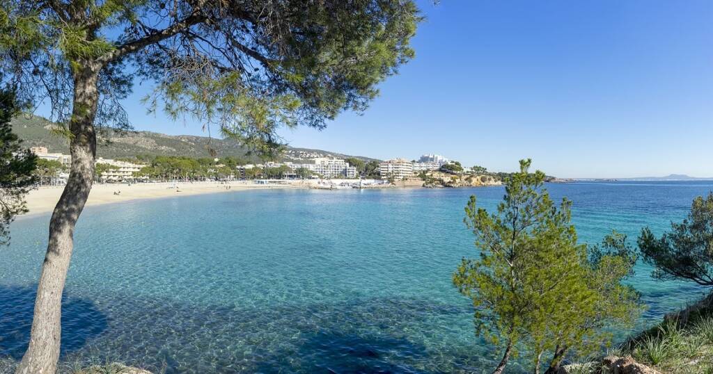 Palmanova in Mallorca. Family vacation in Mallorca. Palmallorca.com - Mallorca Community. Facebook