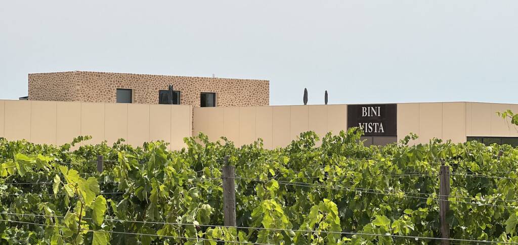 BiniVista Wines - A taste of Mallorca's future - Palmallorca.com - Mallorca Community