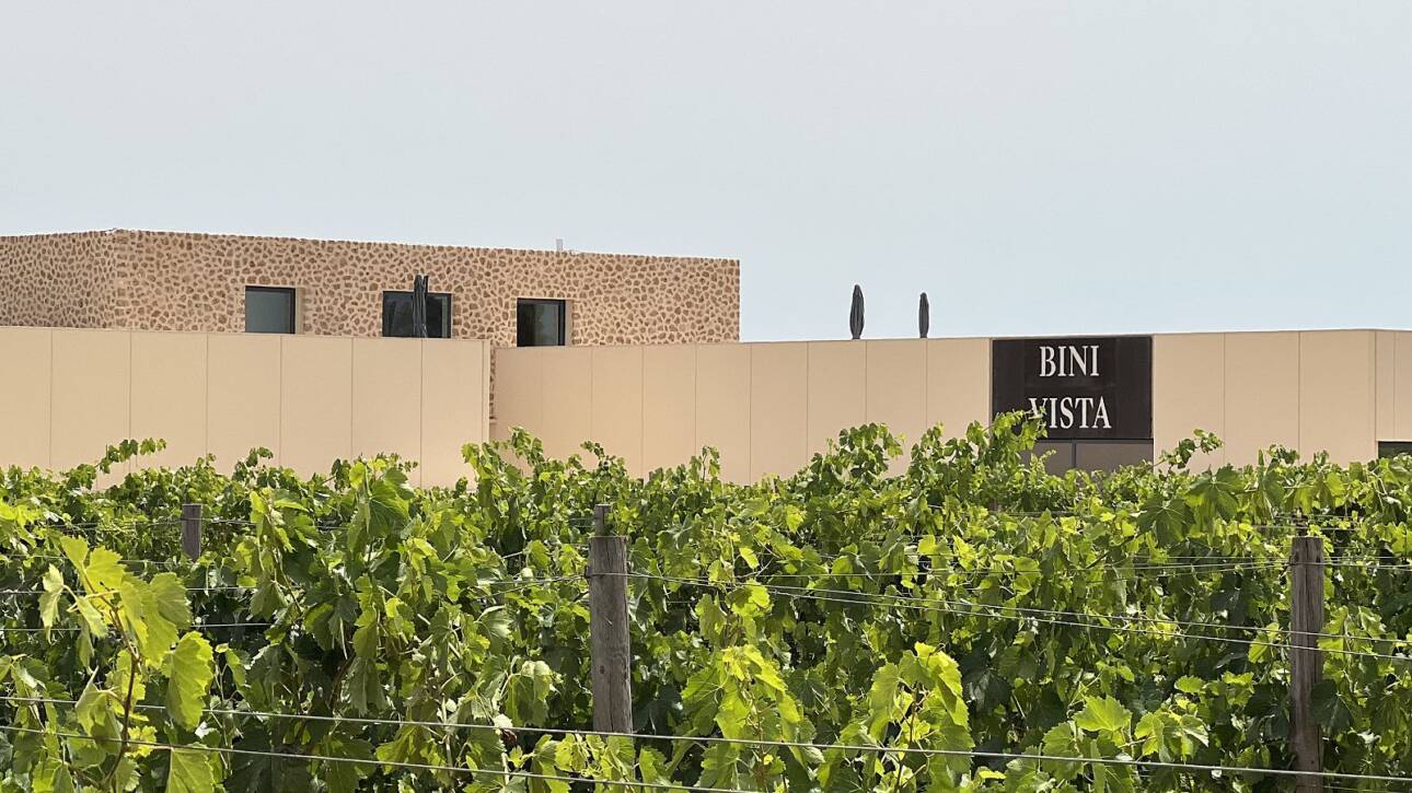 BiniVista Wines - A taste of Mallorca's future - Palmallorca.com - Mallorca Community