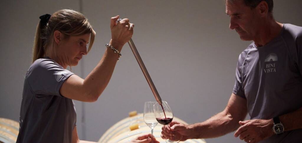 Wine tasting at Bodega BiniVista in Mallorca - mallorca wine tasting - Palmallorca.com - Mallorca Community