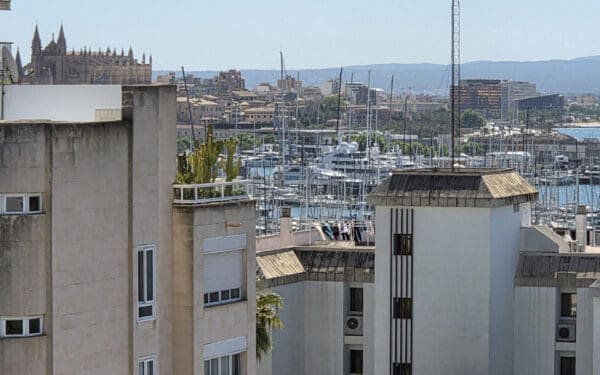 Bellver Place Prensentar - Palma Mallorca - Palmallorca CO Ownership