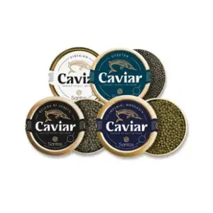 Caviar - Sample Package: 4 Varieties of Our Traditional Caviar 80g