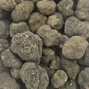 Truffle - Fresh Black Summer Truffle 100gr