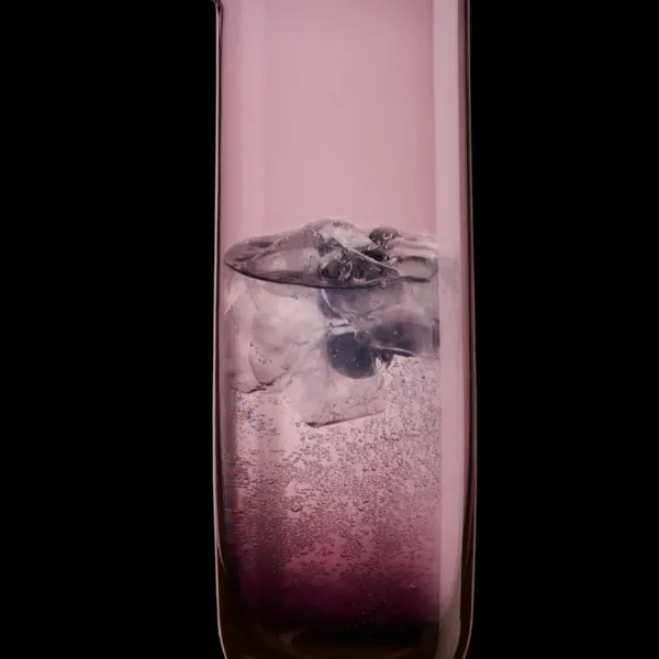 carafe berry - Image 4