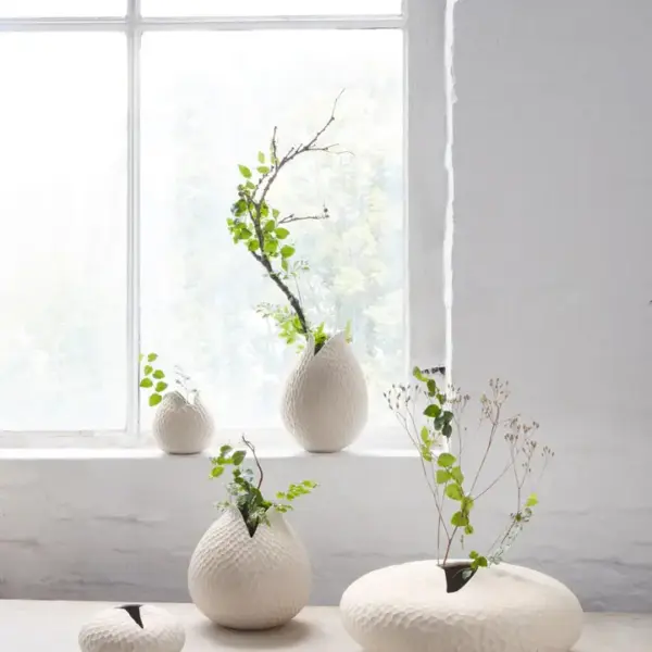 vase nature - Image 2