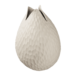 vase nature