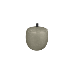 Tea jar Bonsai