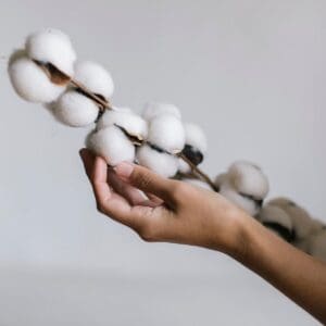 Dekoflower Cotton Branch – Exclusive Timeless 80 cm