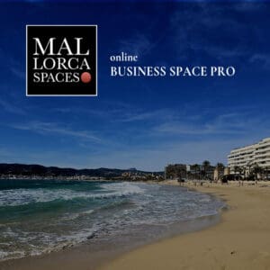Online Business Space Pro Webshop