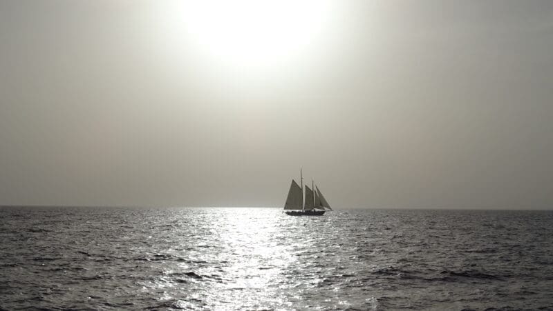 DSC03324