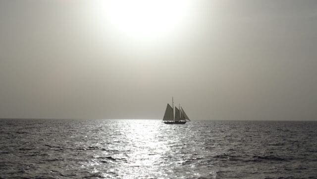 DSC03324